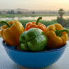 Capsicum