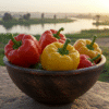 Capsicum
