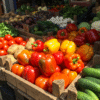 Capsicum