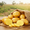 Potatoes